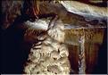 Grottes-Isturitz (18)