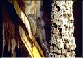 Grottes-Isturitz (21)